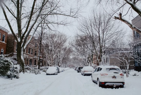 Discovering the Windy City: An Introduction to Chicago's Vibrant Culture and Unpredictable Weather